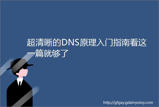 超清晰的DNS原理入门指南看这一篇就够了